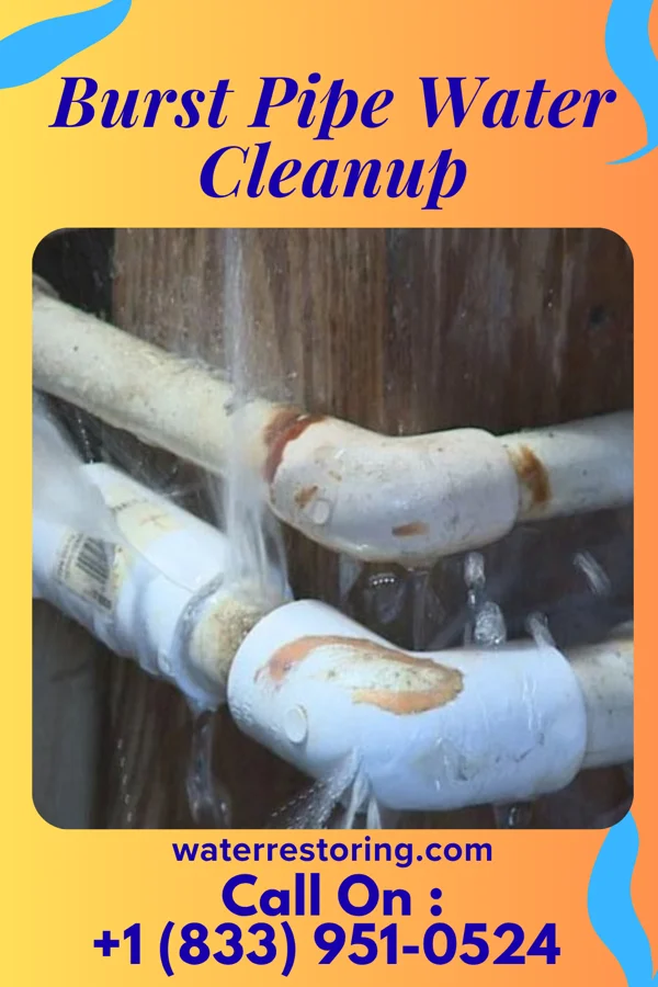 Burst Pipe Water Cleanup in West Long Branch, NJ