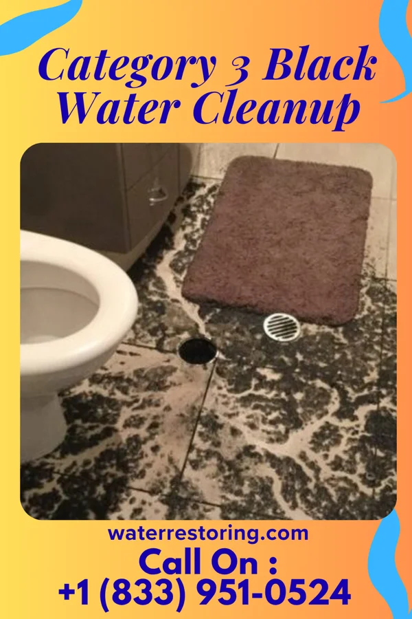 Category 3 Black Water Cleanup in West Long Branch, NJ