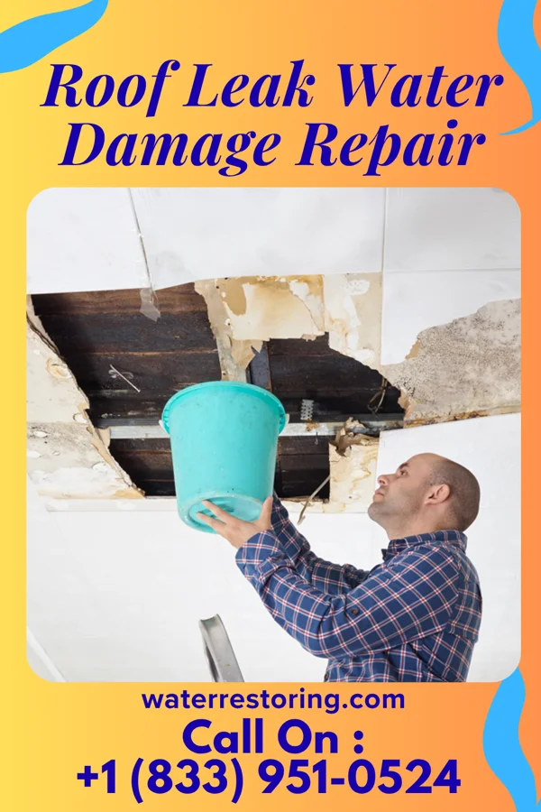 Roof Leak Water Damage Repair in West Long Branch, NJ